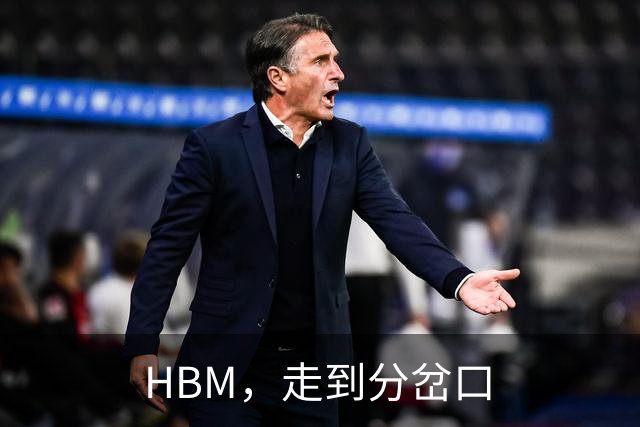 HBM，走到分岔口